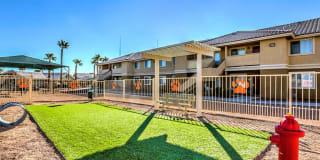 Portola Del Sol Apartment Homes Gallery 22