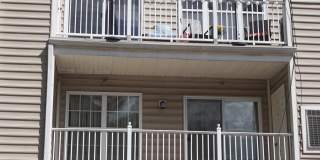 901 PINE FOREST Lane unit: 2001 Gallery 46