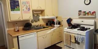 162 Thorndike St #1A Brookline MA 02446 Gallery 6