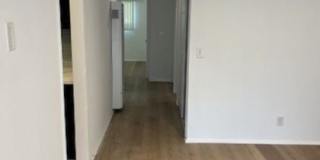 4806 Hollow Corner Rd Gallery 13
