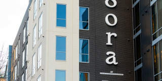 Sora at Spring Quarter Gallery 63