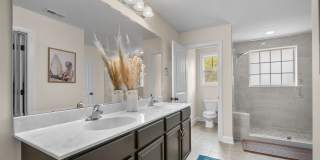 154 Cornel Lane Gallery 21