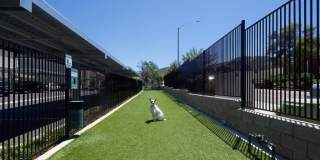 Vela Apartments Gallery 33