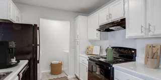 ReNew Brandon Gallery 1