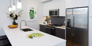 Anthology Apartments Gallery 15