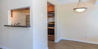 Carrington Gallery 59