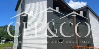 52 Lily Street Gallery 1
