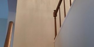 5010 ARBOR RIDGE DR Gallery 13