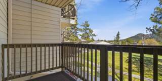 29656 Buffalo Park Road - #206 Gallery 12