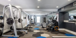 McAlister Gallery 11