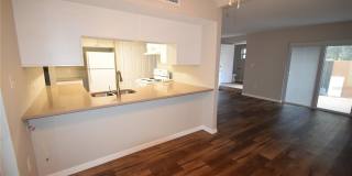 2720 SAN GULLY ROAD Gallery 17