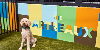 The Artreaux Apartments and Townhomes Gallery 2