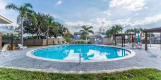 Sea Oats Sea Oats Gallery 37