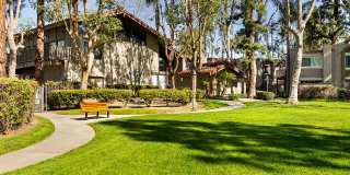 Mountain View (San Dimas) Gallery 15