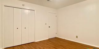 505 Buttercup Gallery 13