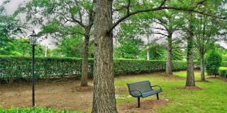 Ridgely Manor Gallery 22