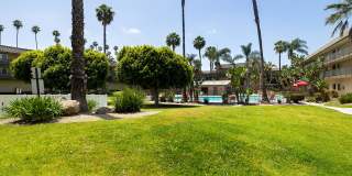 Coronado Palms Gallery 4