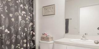 12634 CACAO TREE Trail Gallery 22
