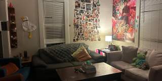 PRELEASE: Spacious 6+ bdrm/2 bath in York Neighborhood Gallery 6