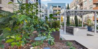 Sevens Luxury Apartment Gallery 151