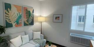 Makiki Banyan Gallery 19