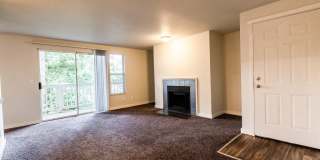 The Lucent Gallery 4