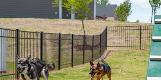 Oak Lake Townhomes Gallery 33