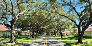 1813 Wood Fern Drive Gallery 3