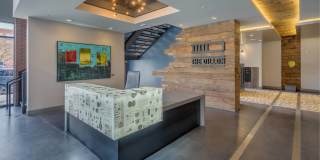 The Dillon Gallery 22