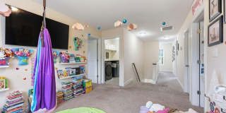 317 Little Egret Lane Gallery 29