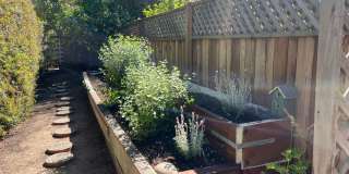 Charming 2 bdrm, 1 bath, + Bonus Room Gallery 4
