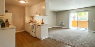 Las Ventanas Gallery 8