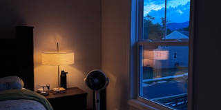 4959 Lexi Ln - 1 Gallery 45