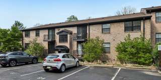 Williamsburg South Gallery 31