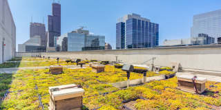 Lake & Wells Gallery 25