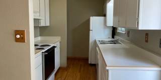 STUDENTS WELCOME! 4 Bed 2 Bath Home in West Ft Collins w/ Garage and Fenced Yard Gallery 10