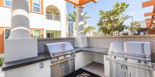 The Seaton Gallery 15