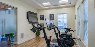 Wellington Place Gallery 9