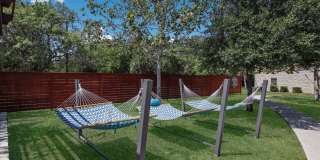 Waterford Park Gallery 19