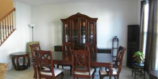 8250 RED CARNATION Court Gallery 8