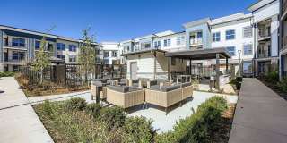 Citizen on Constitution Gallery 13