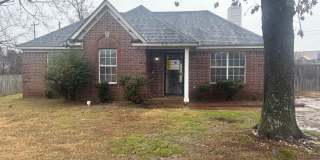 4710 Sage Grass Cv Gallery 1