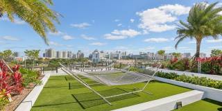 Avida Aventura Gallery 14