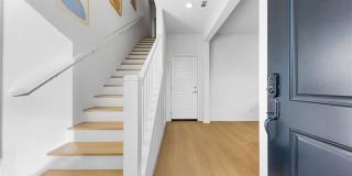 249 Steely Gallery 3
