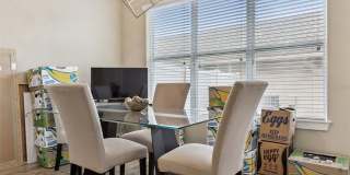 7242 SERENITY BEND Gallery 13