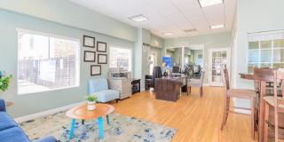 Tiffany II Gallery 10