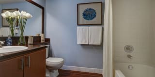 Plantation Colony Gallery 7