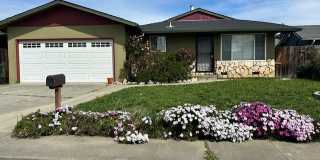 254 De Soto Drive Gallery 1