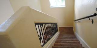 5817 Lawndale Drive Gallery 7