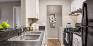 The Samuel Gallery 2